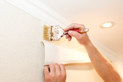 Pose de papier peint à Noé — revêtements muraux et toiles de verre